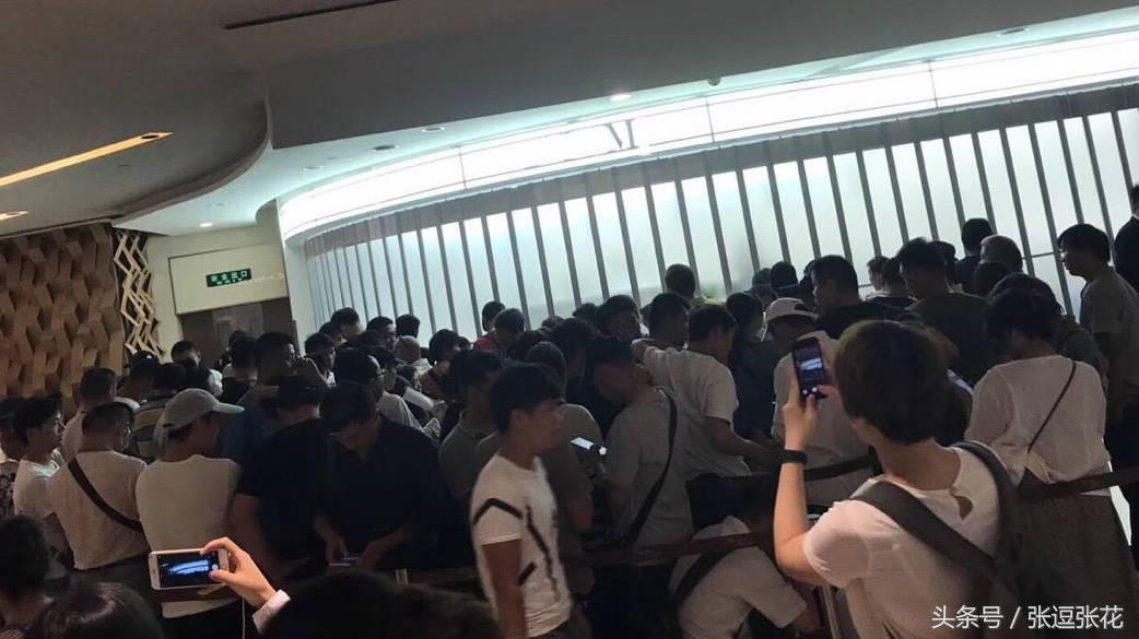 ladym蛋糕最新消息,ladym蛋糕为什么贵