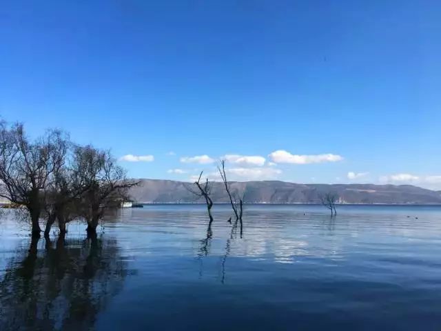 日式小清新民宿推荐,推荐一个经典的民宿
