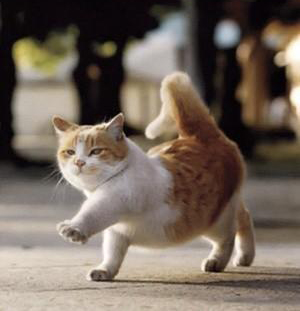 阳台可活动小吧台,阳台可以拥有的小吧台