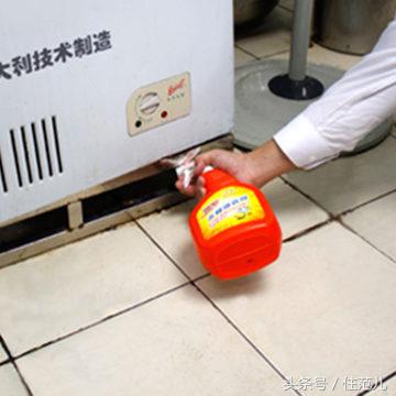 家里有蟑螂教你一招让蟑螂去无踪,蟑螂最怕这3招