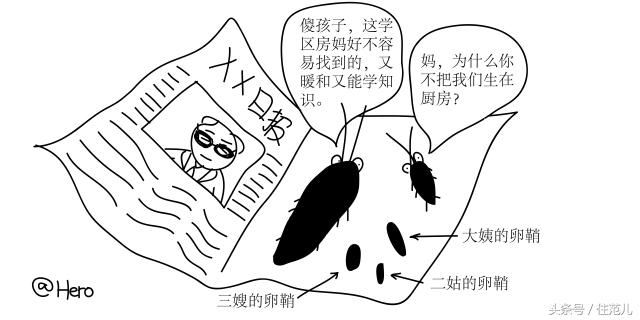 家里有蟑螂教你一招让蟑螂去无踪,蟑螂最怕这3招