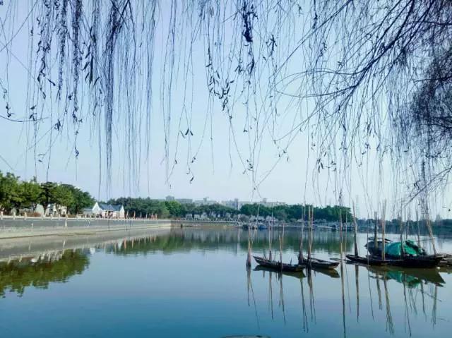 广州景点免费游玩全攻略,广州景点大全免费适合自驾游