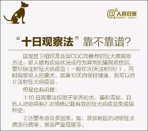 我被猫咬了会得狂犬病吗,我被猫咬了会怎样