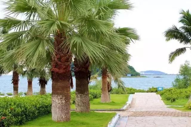 广州景点免费游玩全攻略,广州景点大全免费适合自驾游