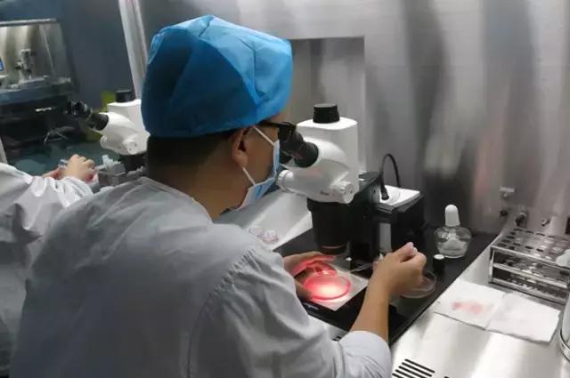 太神奇！生殖医学博士揭秘试管婴儿全过程！
