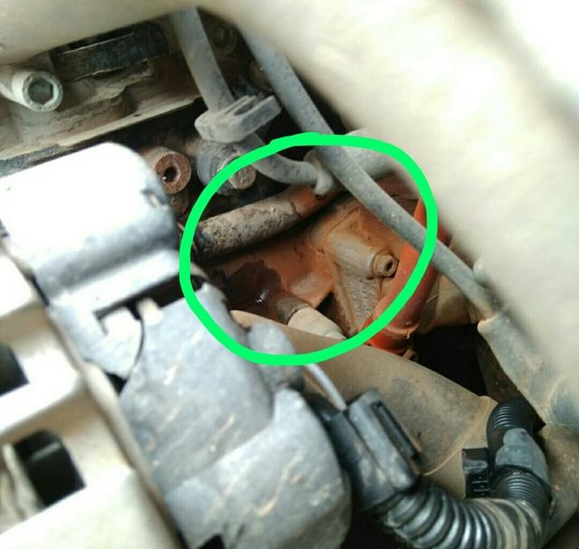 开了十年的普桑,普桑10年