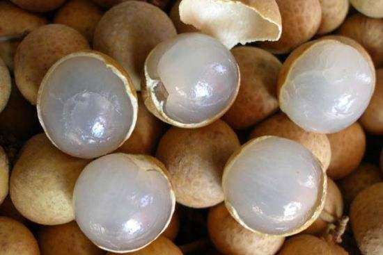 水果小百科美颜小当家，最后一期你还知道那些水果呢｜奇物推荐