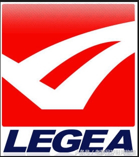 专业的足球鞋有哪几个品牌,曾经的足球鞋知名品牌有哪些