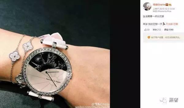 为什么这么多网红戴四叶草,被网红毁掉的植物