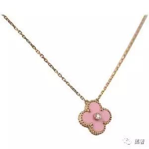 为什么这么多网红戴四叶草,被网红毁掉的植物