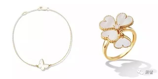 为什么这么多网红戴四叶草,被网红毁掉的植物