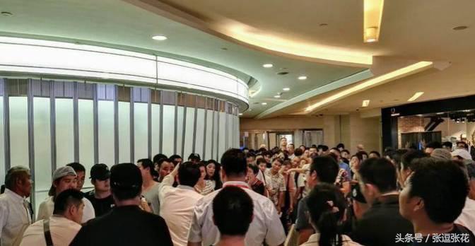 ladym蛋糕最新消息,ladym蛋糕为什么贵