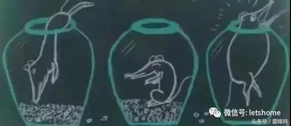 黑客攻击运营商系统,黑客攻击内网服务器