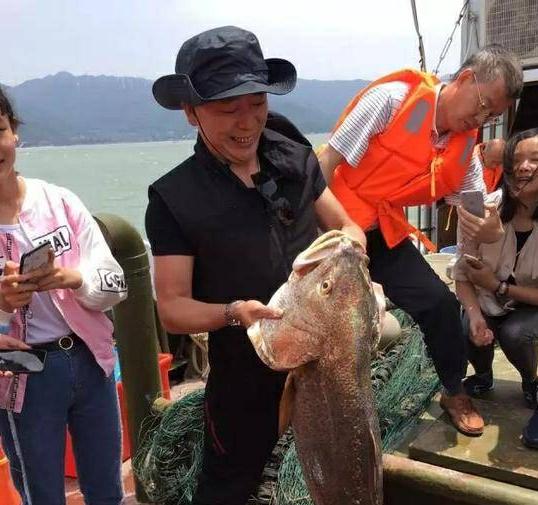 花胶哪种性价比高,什么鱼的花胶最贵