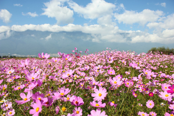 日式小清新民宿推荐,推荐一个经典的民宿