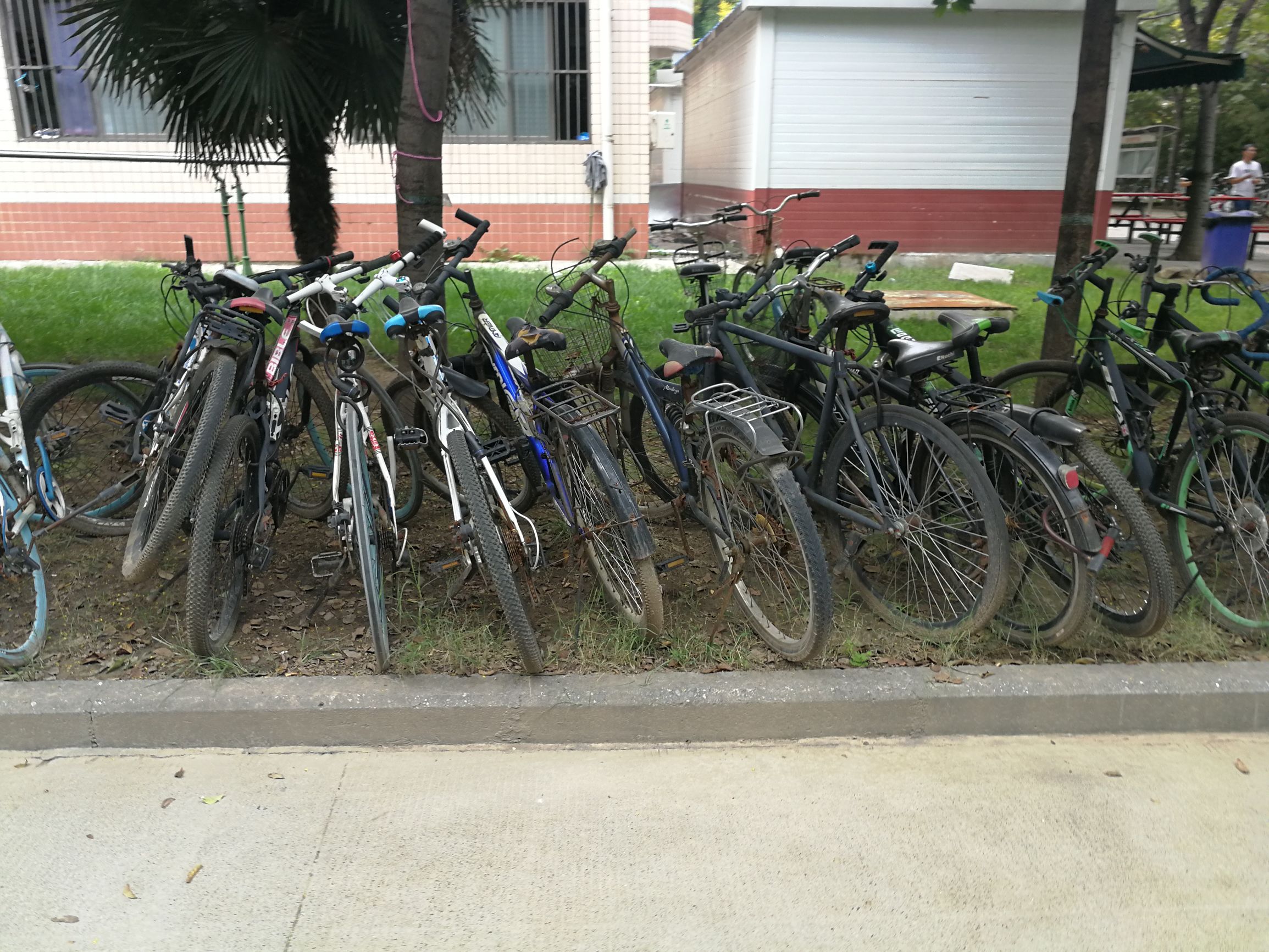 中国共享单车的由来,平顶山共享单车何去何从