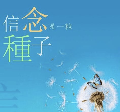 双赢教育,双赢教育怎么样