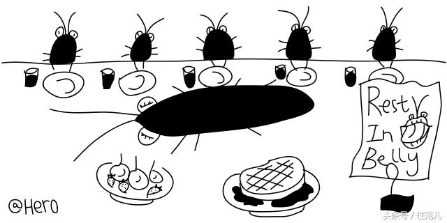 家里有蟑螂教你一招让蟑螂去无踪,蟑螂最怕这3招