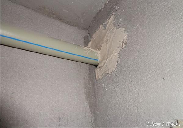 家里有蟑螂教你一招让蟑螂去无踪,蟑螂最怕这3招