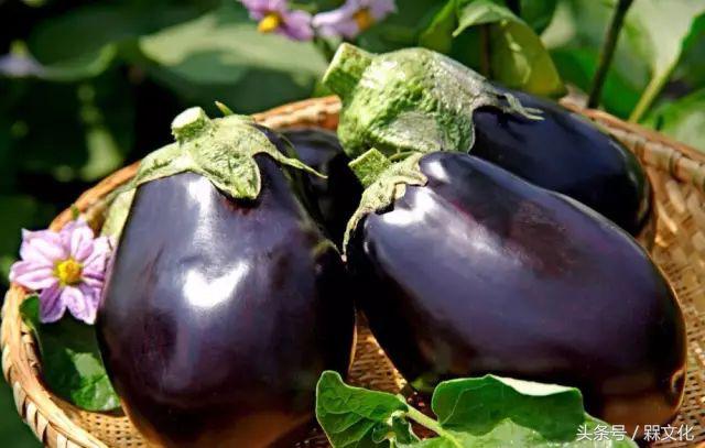 一城一食|不是肉干胜似肉干的……呃,茄子!