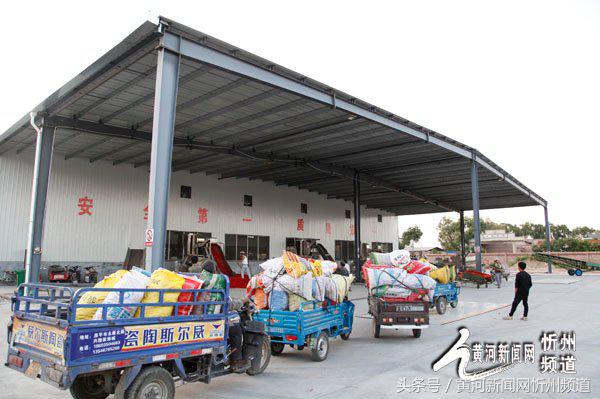 忻州辣椒之乡产业,中国忻州辣椒产业园区