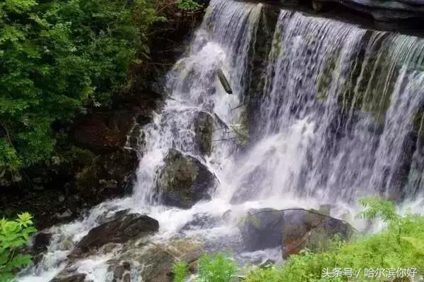 哈尔滨几月份去最舒服,哈尔滨哪个地方好玩住的地方便宜