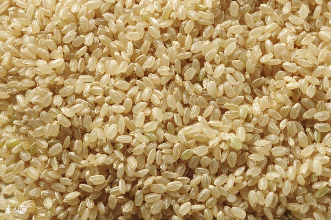 糙米的营养价值及食谱,皮糙肉不糙糙米营养高