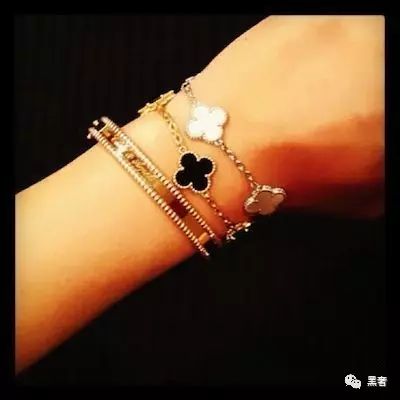 为什么这么多网红戴四叶草,被网红毁掉的植物