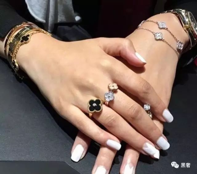 为什么这么多网红戴四叶草,被网红毁掉的植物