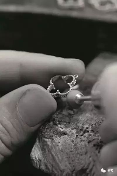 为什么这么多网红戴四叶草,被网红毁掉的植物