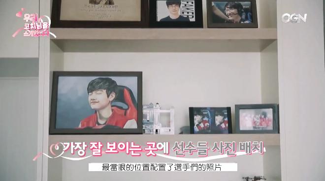 化作春泥更护花视频,化作春泥更护花解析