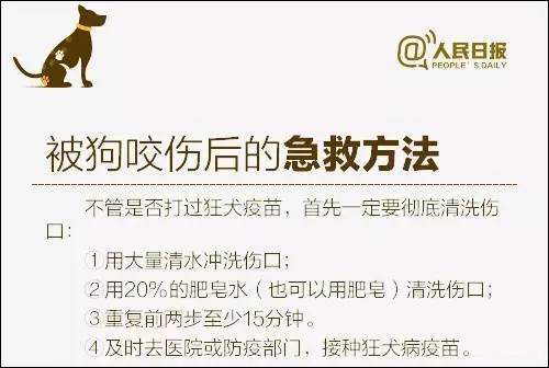 我被猫咬了会得狂犬病吗,我被猫咬了会怎样