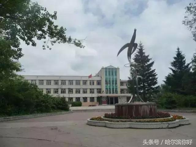 哈尔滨几月份去最舒服,哈尔滨哪个地方好玩住的地方便宜