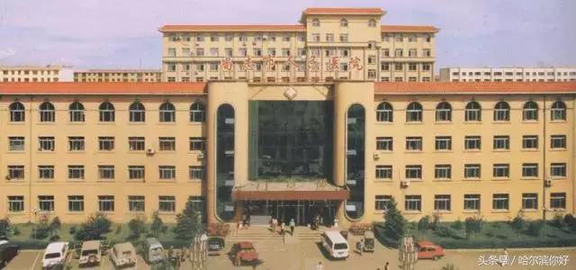 哈尔滨几月份去最舒服,哈尔滨哪个地方好玩住的地方便宜