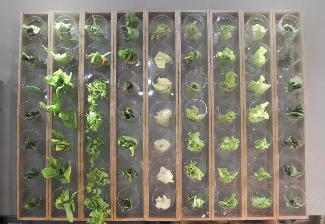 许昌镜湖花园南门自选麻辣烫,许昌四川小馆麻辣烫