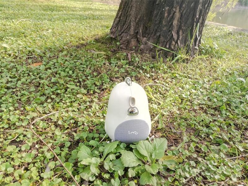 骞诲搷灏忓悏鎷嗚В,骞诲搷灏忓悏