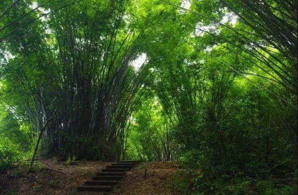 广州景点免费游玩全攻略,广州景点大全免费适合自驾游