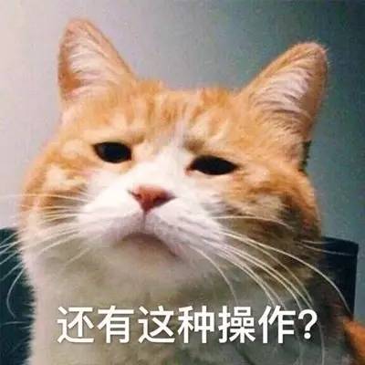 我被猫咬了会得狂犬病吗,我被猫咬了会怎样