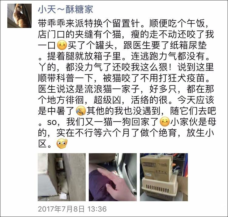 我被猫咬了会得狂犬病吗,我被猫咬了会怎样
