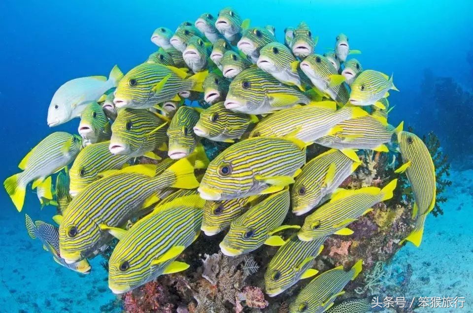 适合潜水的东南亚海岛,可以免签的冷门海岛