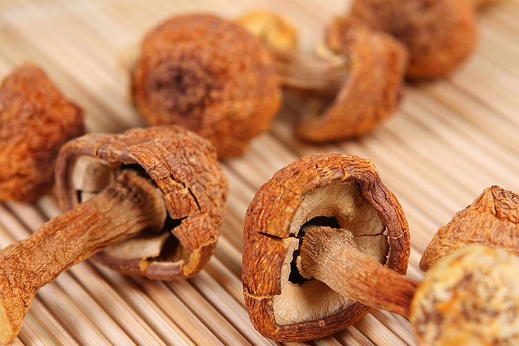 脖子上长疙瘩会是癌症吗,36岁男人脖子上长疙瘩图片大全