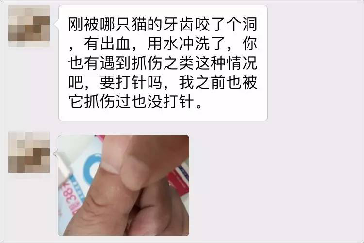 我被猫咬了会得狂犬病吗,我被猫咬了会怎样