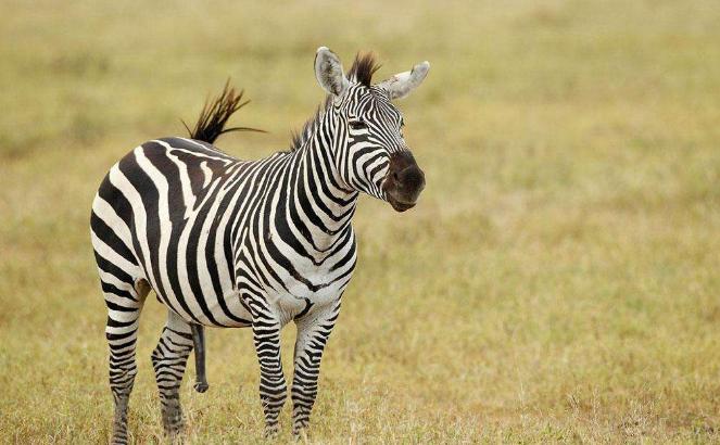 地球从来不缺少神秘,盘点地球上10大关于自然的谜团