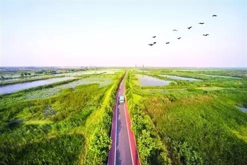 在济宁生活必须知道的这些事,实用!