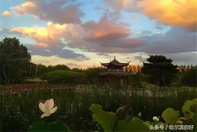 哈尔滨几月份去最舒服,哈尔滨哪个地方好玩住的地方便宜