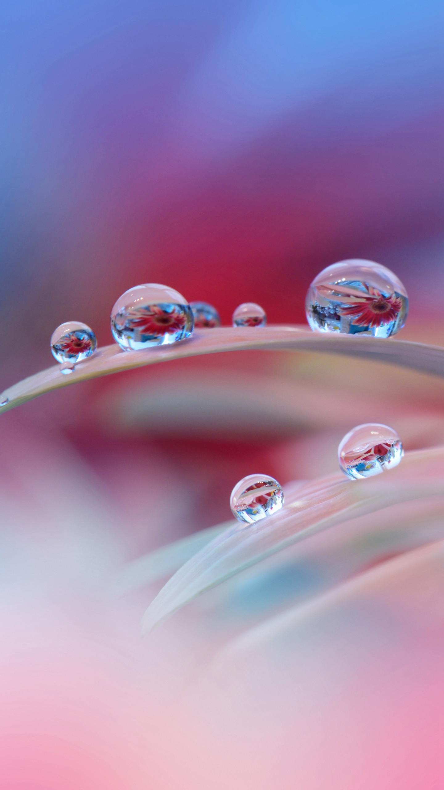 最牛的销售演讲视频,最牛的销售话术句句精辟