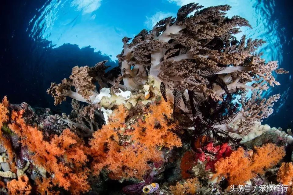 适合潜水的东南亚海岛,可以免签的冷门海岛