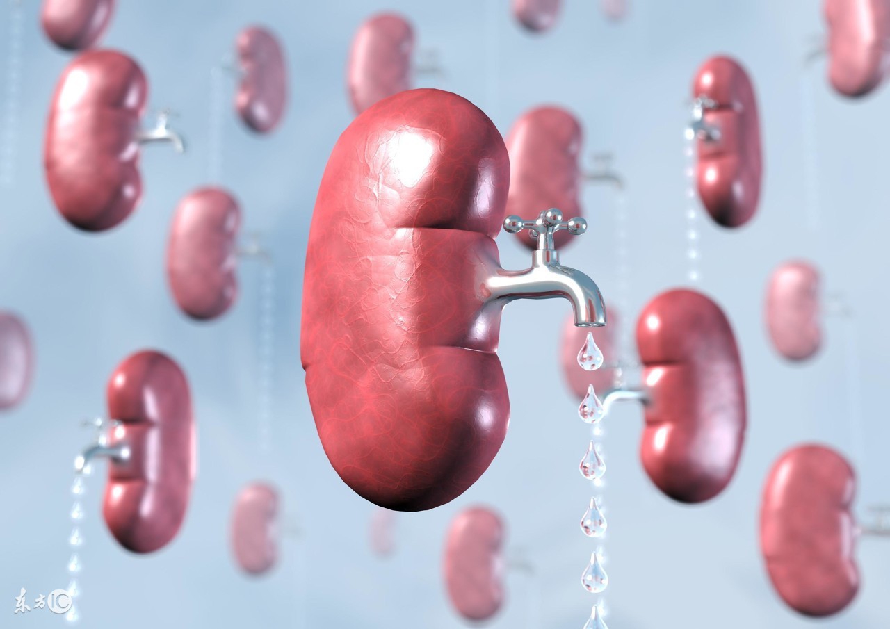 尿毒症透析皮肤瘙痒怎么办,尿毒症早期症状