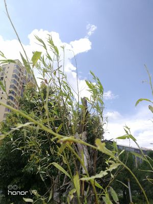 荣耀v9录像不清晰,华为手机荣耀v9支持无线快充吗