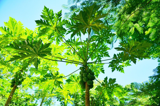 三亚国庆游,国庆节快到了约个男朋友回家